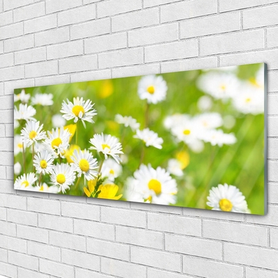 Plexiglas® Wall Art Daisy floral yellow white