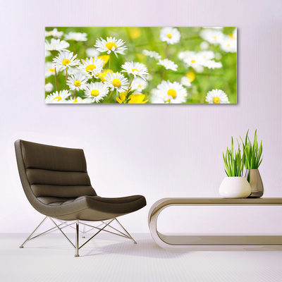 Plexiglas® Wall Art Daisy floral yellow white