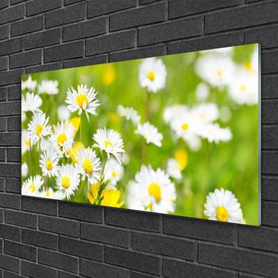 Plexiglas® Wall Art Daisy floral yellow white