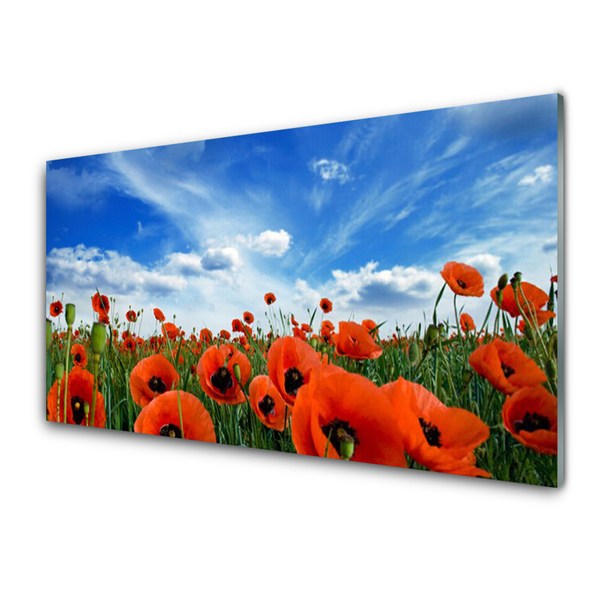 Plexiglas® Wall Art Meadow poppies floral green red