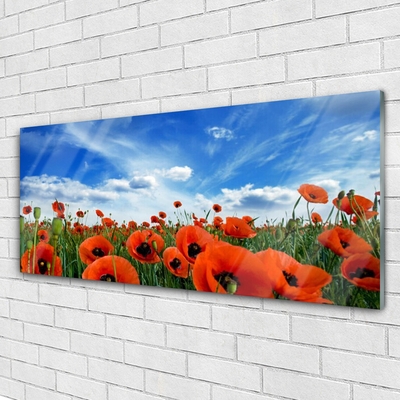 Plexiglas® Wall Art Meadow poppies floral green red
