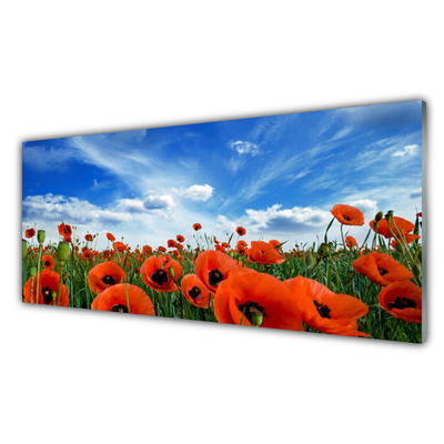 Plexiglas® Wall Art Meadow poppies floral green red