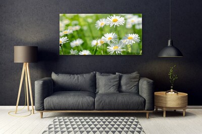 Plexiglas® Wall Art Daisy floral yellow white