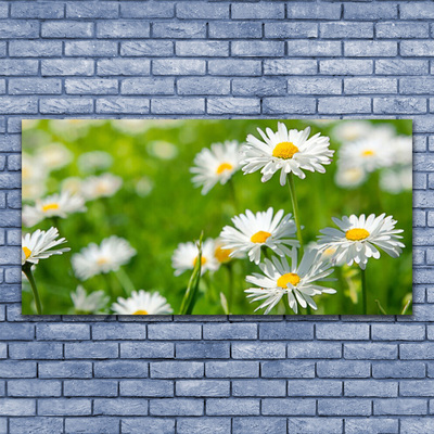 Plexiglas® Wall Art Daisy floral yellow white