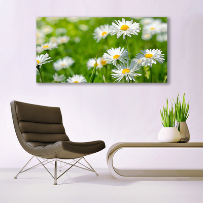 Plexiglas® Wall Art Daisy floral yellow white