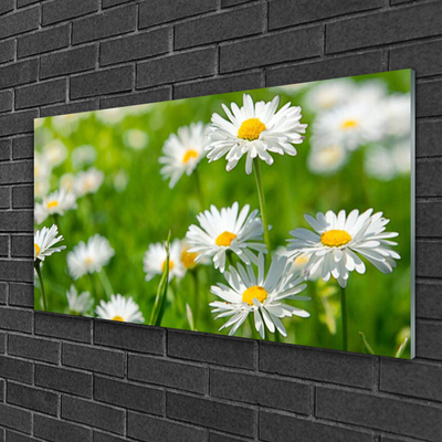 Plexiglas® Wall Art Daisy floral yellow white