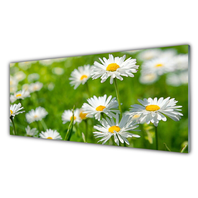 Plexiglas® Wall Art Daisy floral yellow white