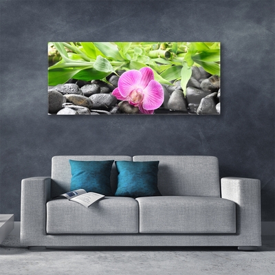 Plexiglas® Wall Art Flower leaves stones art pink green black