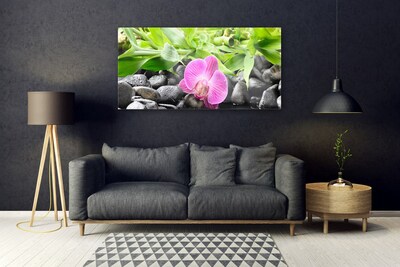 Plexiglas® Wall Art Flower leaves stones art pink green black