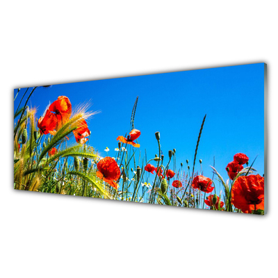 Plexiglas® Wall Art Flowers floral red green