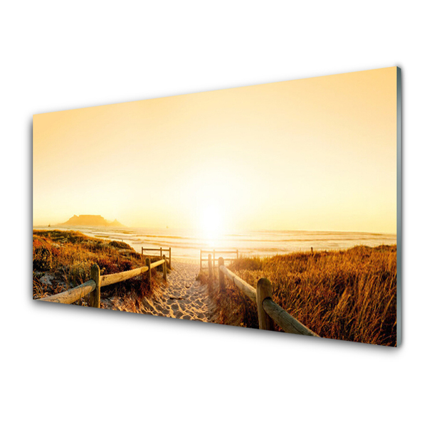 Plexiglas® Wall Art Footpath landscape brown