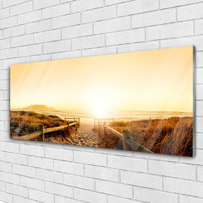 Plexiglas® Wall Art Footpath landscape brown