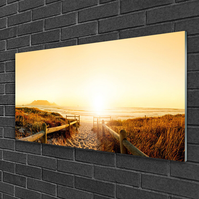 Plexiglas® Wall Art Footpath landscape brown