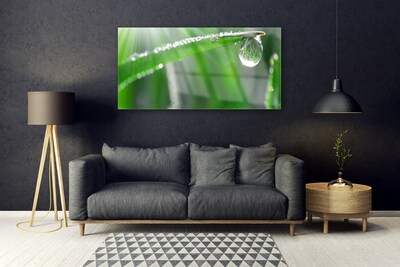 Plexiglas® Wall Art Grass dew drops floral green