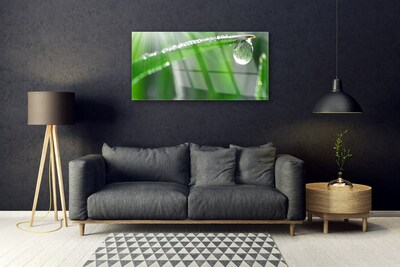 Plexiglas® Wall Art Grass dew drops floral green