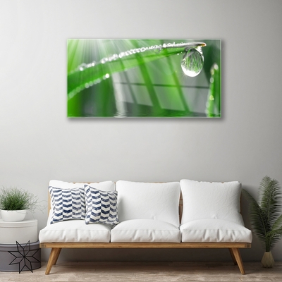 Plexiglas® Wall Art Grass dew drops floral green