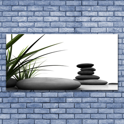 Plexiglas® Wall Art Grass stones art green grey