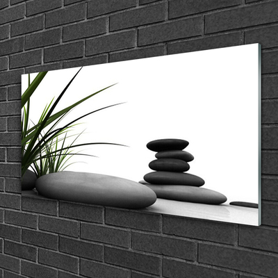 Plexiglas® Wall Art Grass stones art green grey