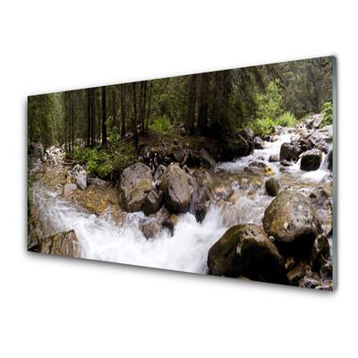 Plexiglas® Wall Art Forest brook stones nature brown green white grey