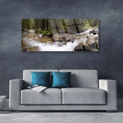 Plexiglas® Wall Art Forest brook stones nature brown green white grey