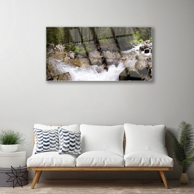 Plexiglas® Wall Art Forest brook stones nature brown green white grey