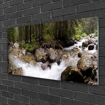 Plexiglas® Wall Art Forest brook stones nature brown green white grey