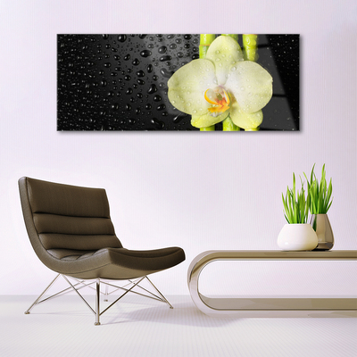 Plexiglas® Wall Art Bamboo tube flower floral green yellow