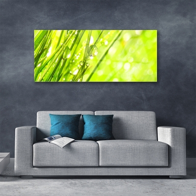 Plexiglas® Wall Art Weed nature green