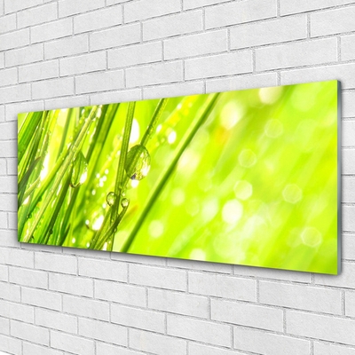 Plexiglas® Wall Art Weed nature green