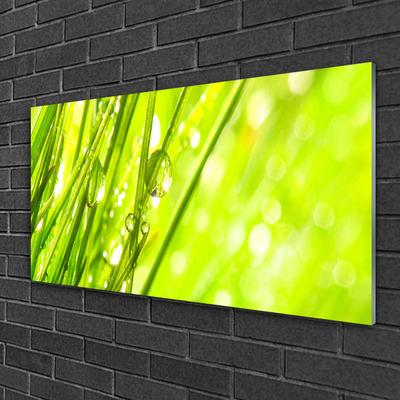 Plexiglas® Wall Art Weed nature green