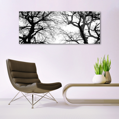 Plexiglas® Wall Art Trees nature black