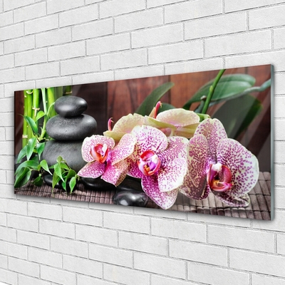 Plexiglas® Wall Art Bamboo stones flowers floral green grey pink