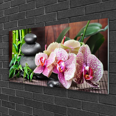 Plexiglas® Wall Art Bamboo stones flowers floral green grey pink