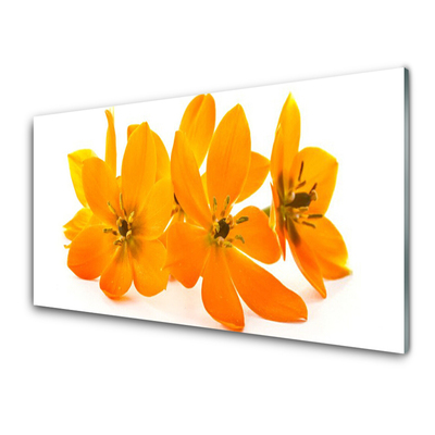 Kitchen Splashback Flowers floral orange