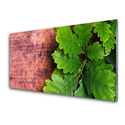 Kitchen Splashback Oak leaves floral green