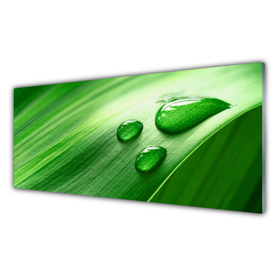 Kitchen Splashback Leaf water droplets floral green