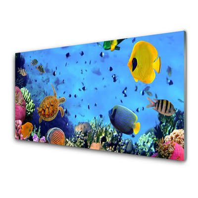 Kitchen Splashback Coral reef underwater fish nature blue yellow multi