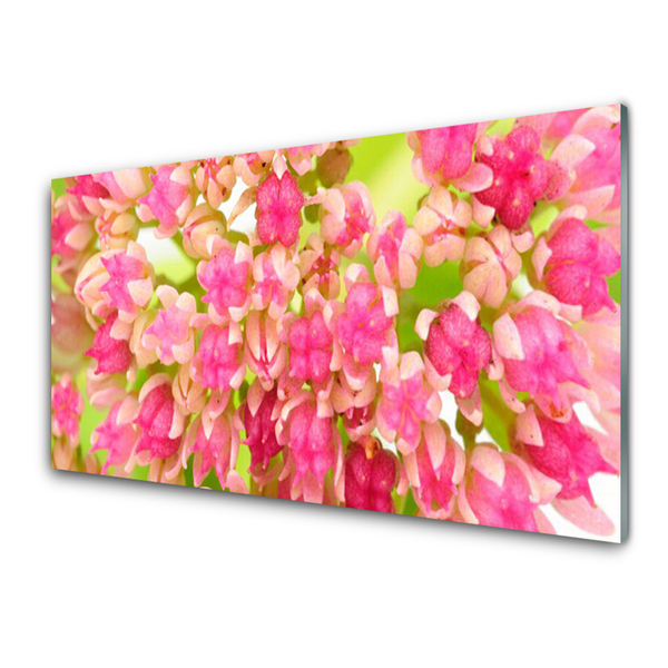 Kitchen Splashback Flower blossom floral pink