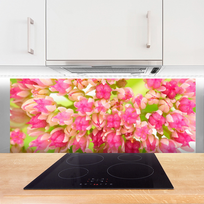Kitchen Splashback Flower blossom floral pink