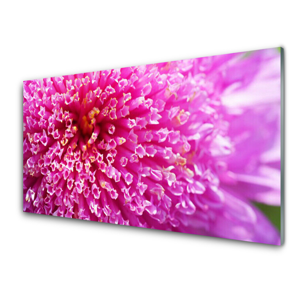 Kitchen Splashback Flower floral pink