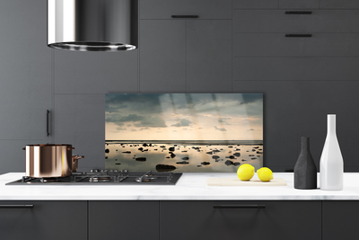 Kitchen Splashback Water landscape grey