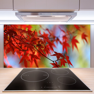 Kitchen Splashback Leaves nature red