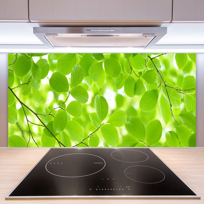 Kitchen Splashback Leaves nature green