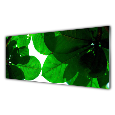 Kitchen Splashback Leaves floral green