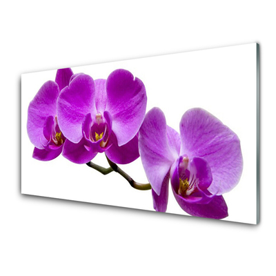 Kitchen Splashback Flowers floral purple brown