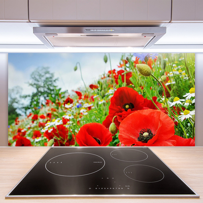 Kitchen Splashback Flowers nature red green