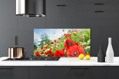 Kitchen Splashback Flowers nature red green