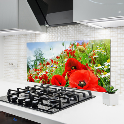 Kitchen Splashback Flowers nature red green