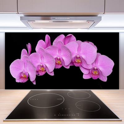 Kitchen Splashback Flowers floral pink black