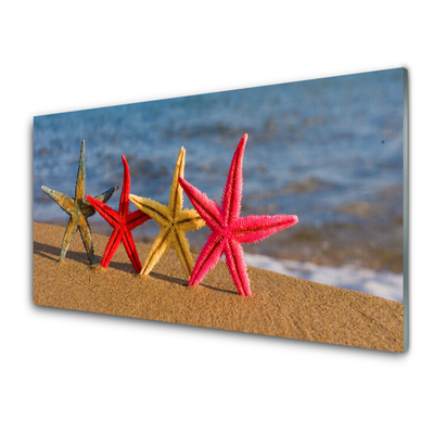 Kitchen Splashback Beach starfish art multi